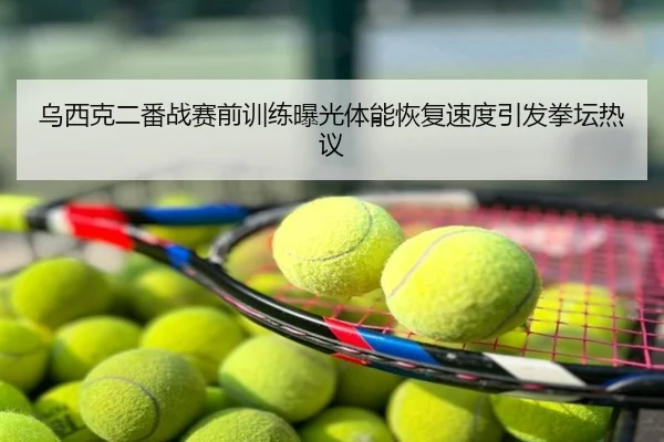 乌西克二番战赛前训练曝光体能恢复速度引发拳坛热议